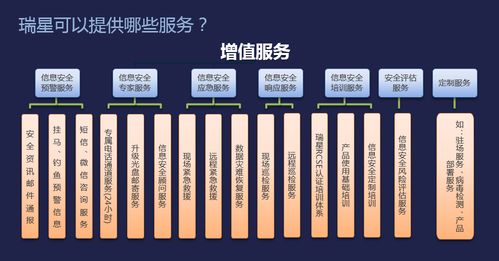 獻禮建黨100周年 瑞星安全保障已就位